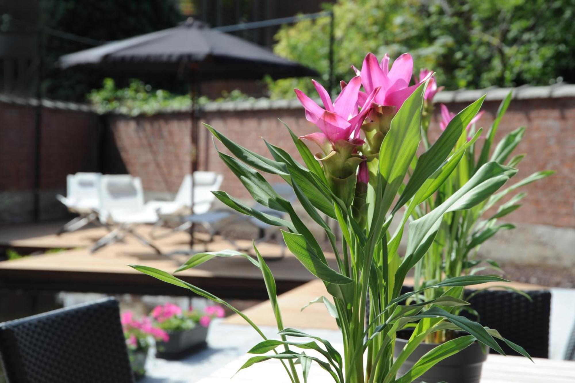 האסלט Charmehotel Villa Saporis מראה חיצוני תמונה